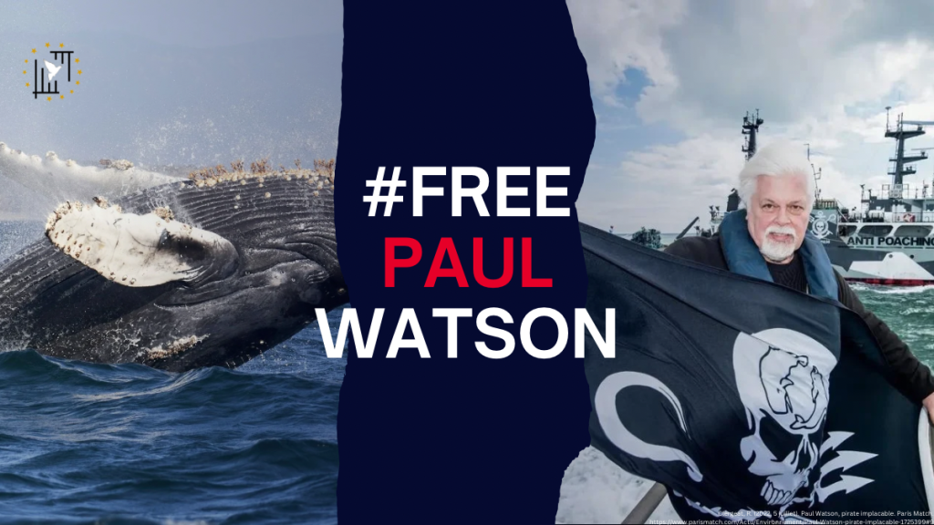 Clergeat, R. (2022, 5 juillet). Paul Watson, pirate implacable. Paris Match. httpswww.parismatch.comActuEnvironnementPaul-Watson-pirate-implacable-1725399#9